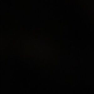 Michael Kors Navy Floral Studded tote